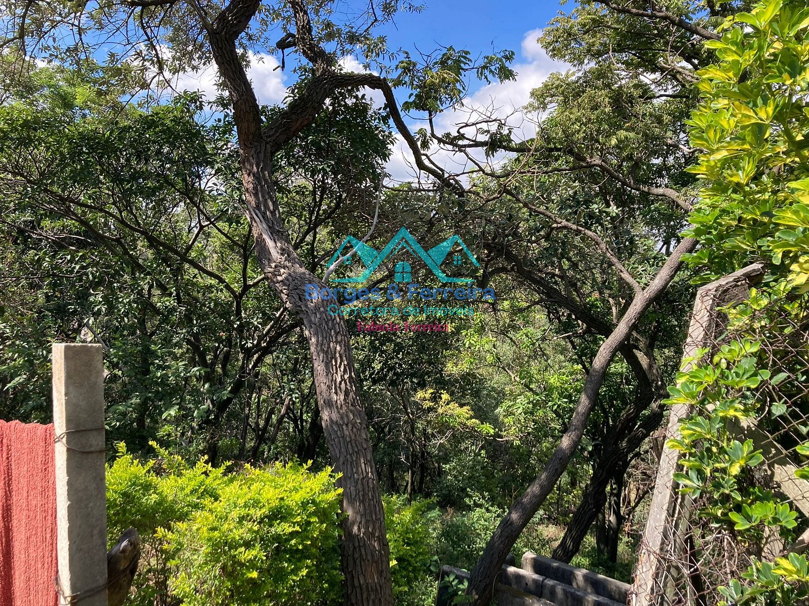 Chácara, 4 quartos, 6500 m² - Foto 66