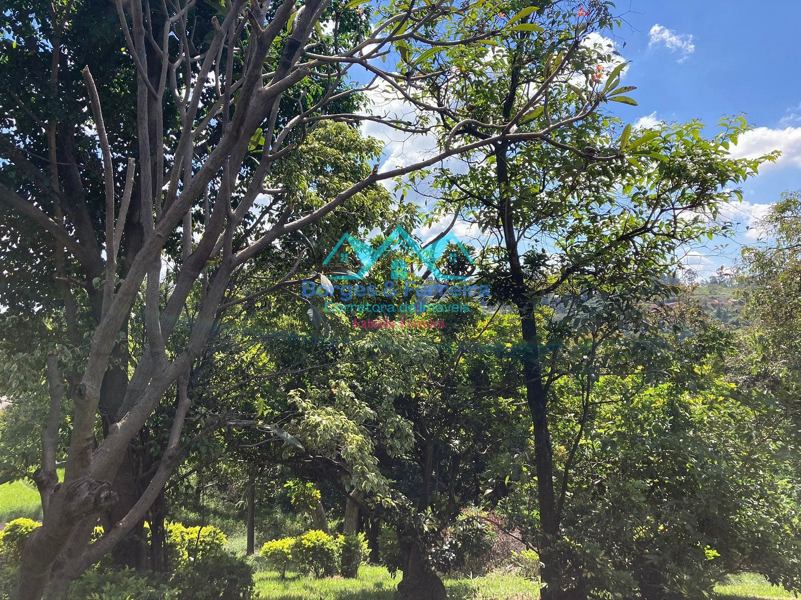 Chácara, 4 quartos, 6500 m² - Foto 63