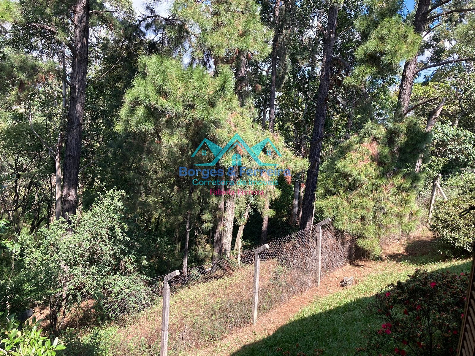 Chácara, 4 quartos, 6500 m² - Foto 60