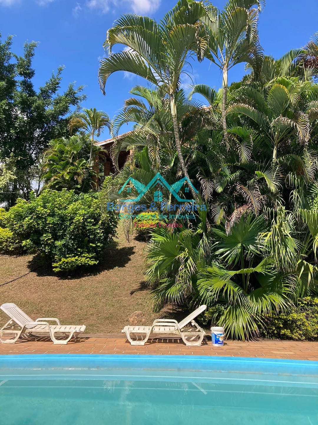 Chácara, 4 quartos, 6500 m² - Foto 53