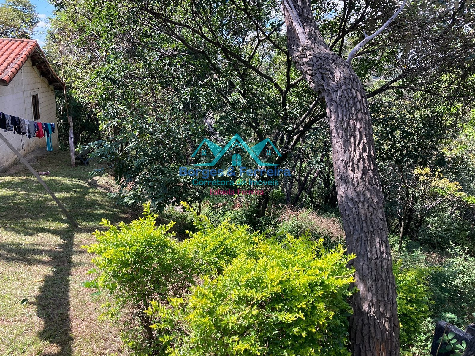 Chácara, 4 quartos, 6500 m² - Foto 38