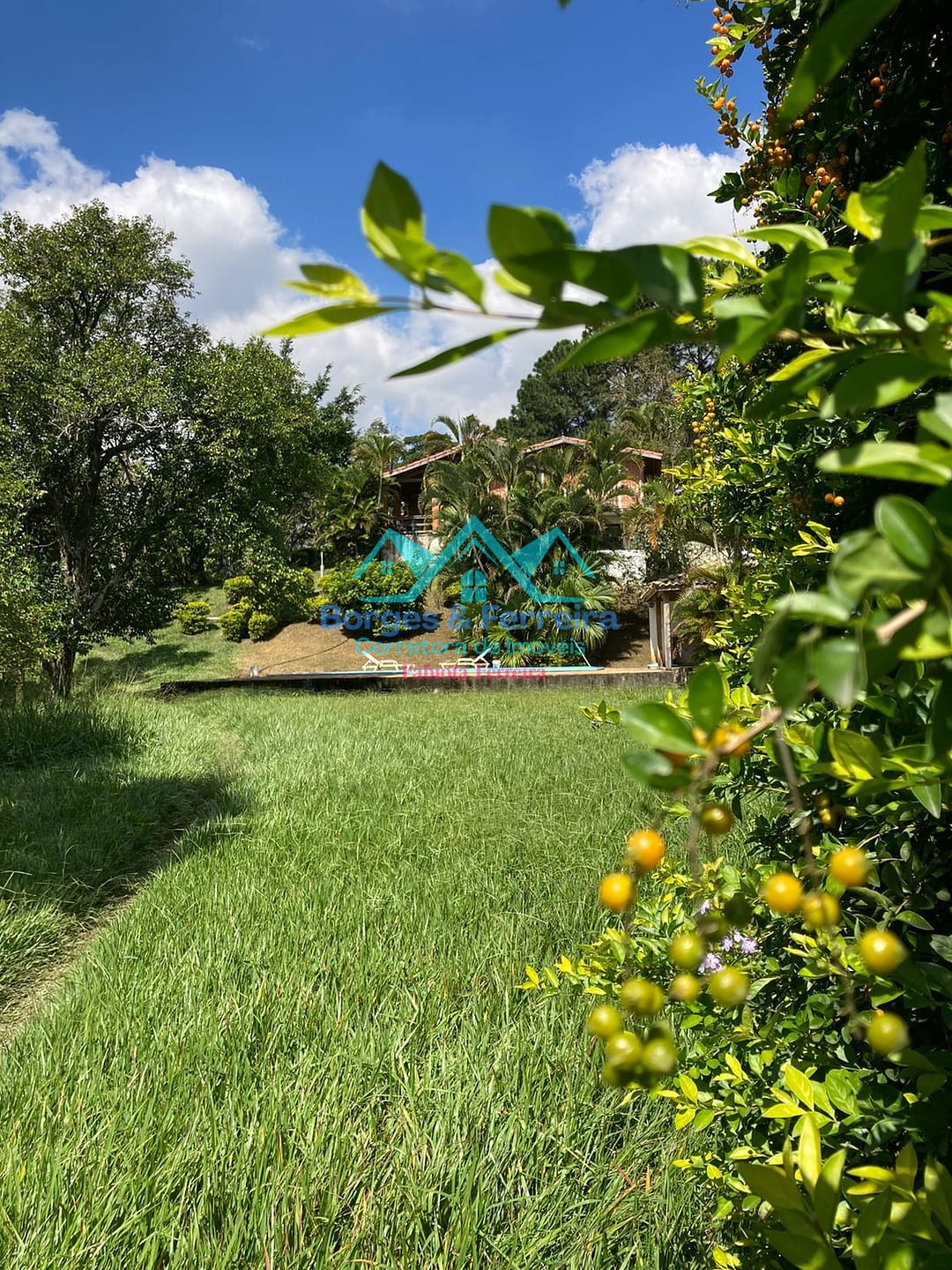 Chácara, 4 quartos, 6500 m² - Foto 32