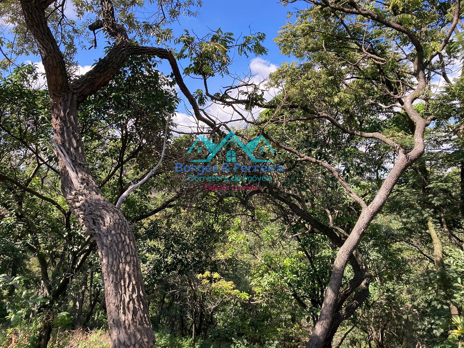 Chácara, 4 quartos, 6500 m² - Foto 19