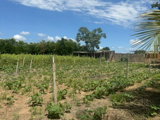 Chácara 2 quartos e 1 banheiro, à venda, no bairro Cohab Santa Clara em Várzea Grande
