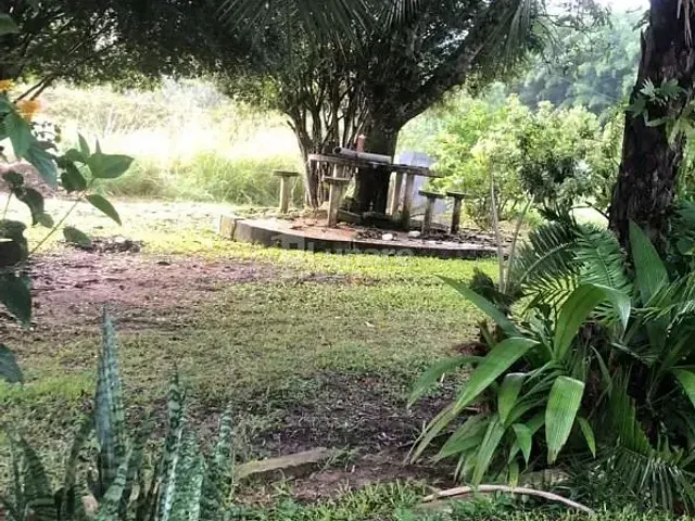 Chácara com 5000m² 3 quartos e 2 banheiros, à venda, no bairro Parque Agrinco em Guararema