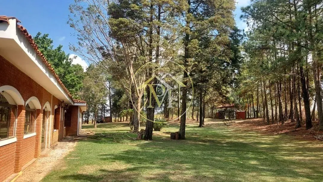 Chácara, 5 quartos, 2 hectares - Foto 26