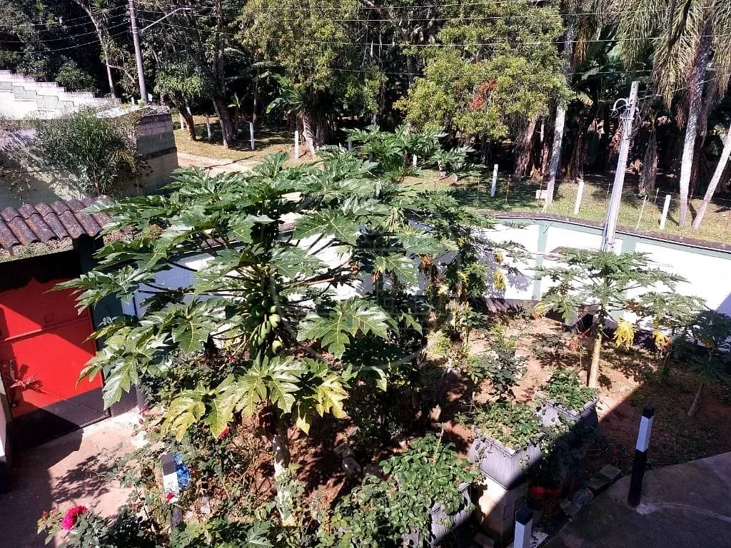 Sítio, 4 quartos, 1100 m² - Foto 34