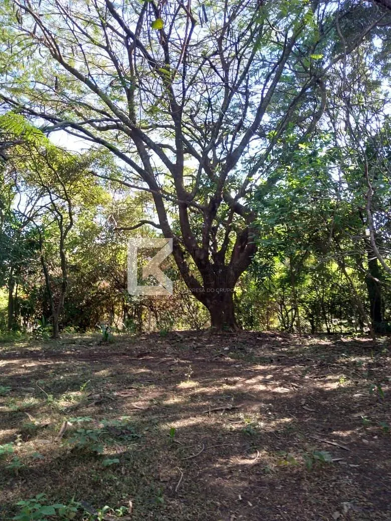 Chácara, 3 quartos, 5000 m² - Foto 6