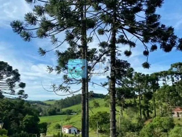 Chácara com 130000m² 11 quartos e 9 banheiros, à venda, no bairro Parque California em Jacareí