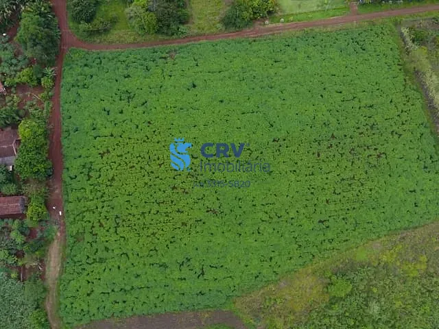 Chácara com 20405m² 1 quarto e 1 banheiro, à venda, no bairro Limoeiro em Londrina