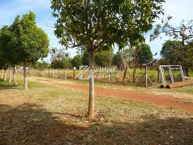 Chácara com 15000m² 3 quartos e 3 banheiros, à venda, no bairro Recanto Das Flores em Uberaba