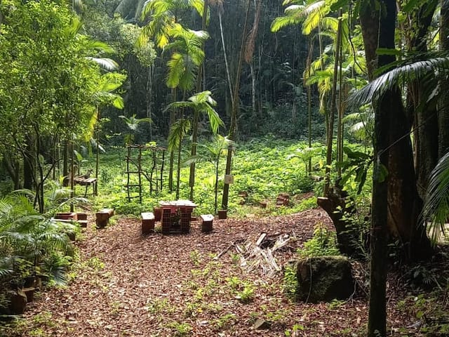 Foto do Chácara - Chácara à venda, com muito verde e uma cachoeira, localizada no bairro Interior, no município de Arroio do Meio /RS | Executivo Imóveis