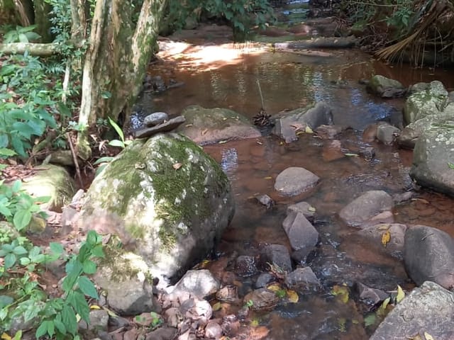 Foto do Chácara - Chácara à venda, com muito verde e uma cachoeira, localizada no bairro Interior, no município de Arroio do Meio /RS | Executivo Imóveis