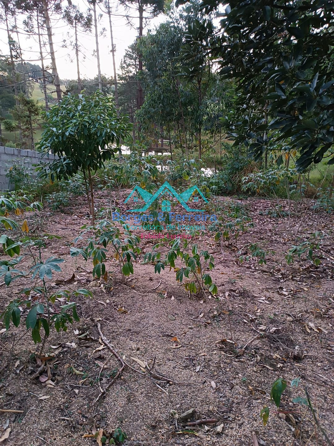 Chácara, 1 quarto, 1000 m² - Foto 7