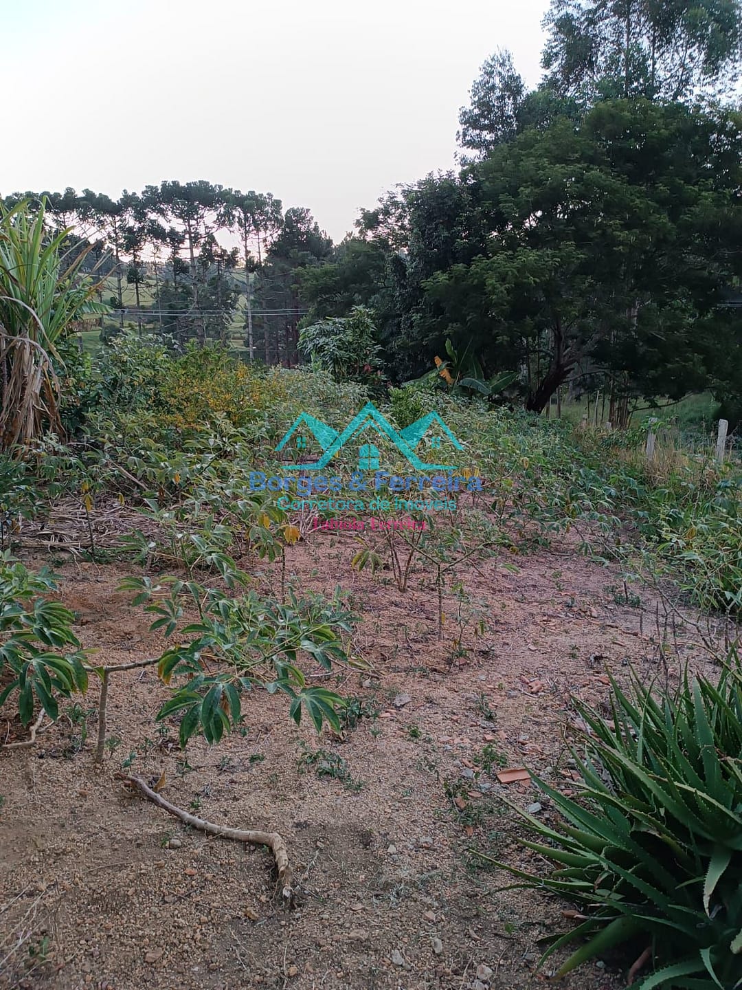 Chácara, 1 quarto, 1000 m² - Foto 6