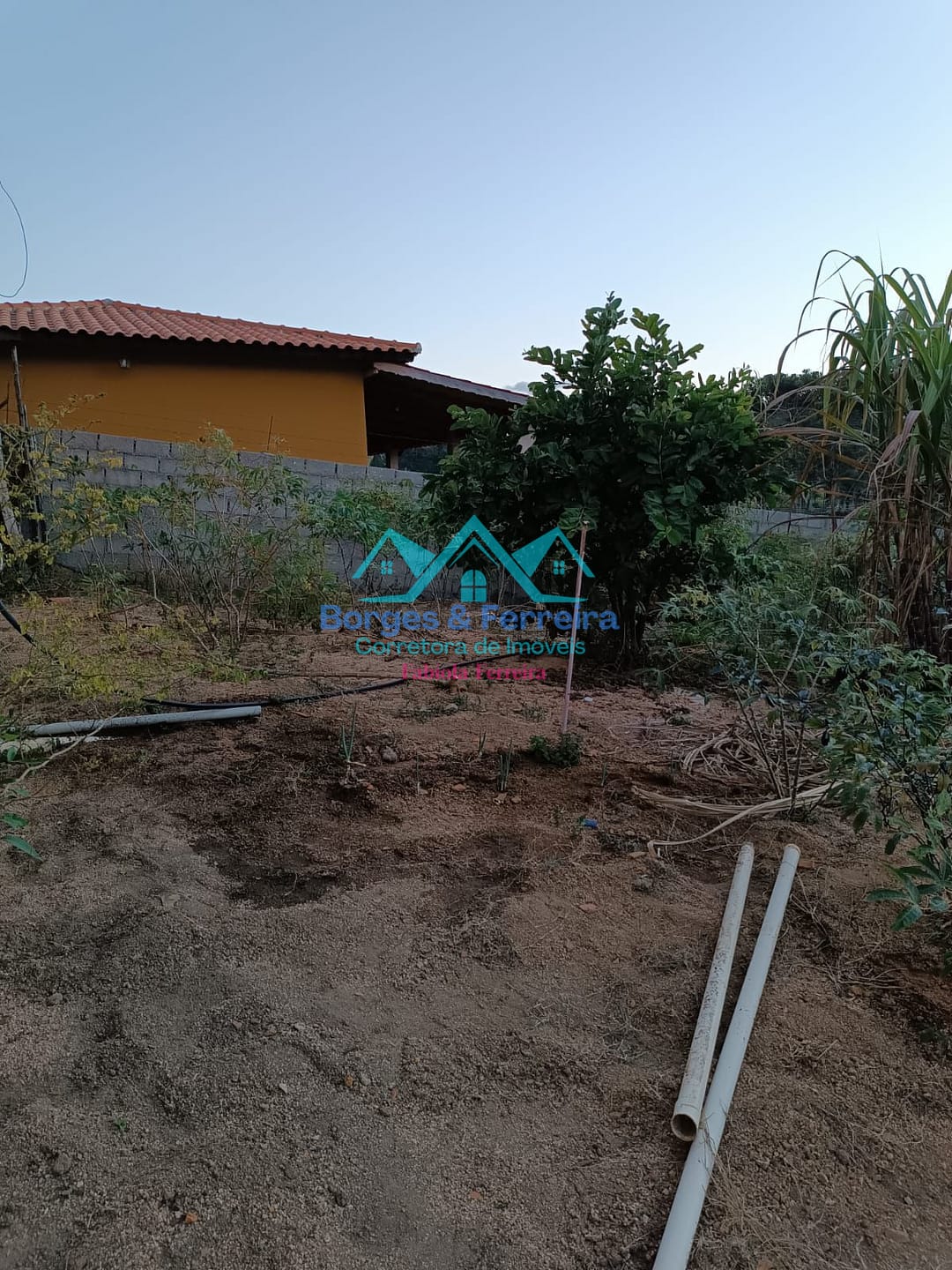 Chácara, 1 quarto, 1000 m² - Foto 5