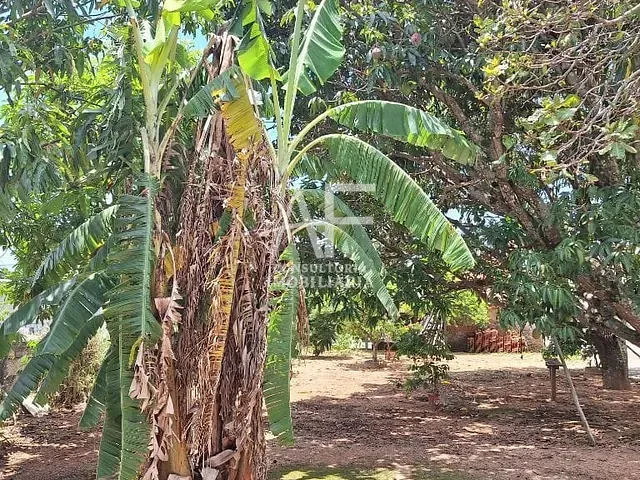 Chácara com 750m² 1 quarto e 2 banheiros, à venda ou para alugar, no bairro São Gonçalo em Taubaté
