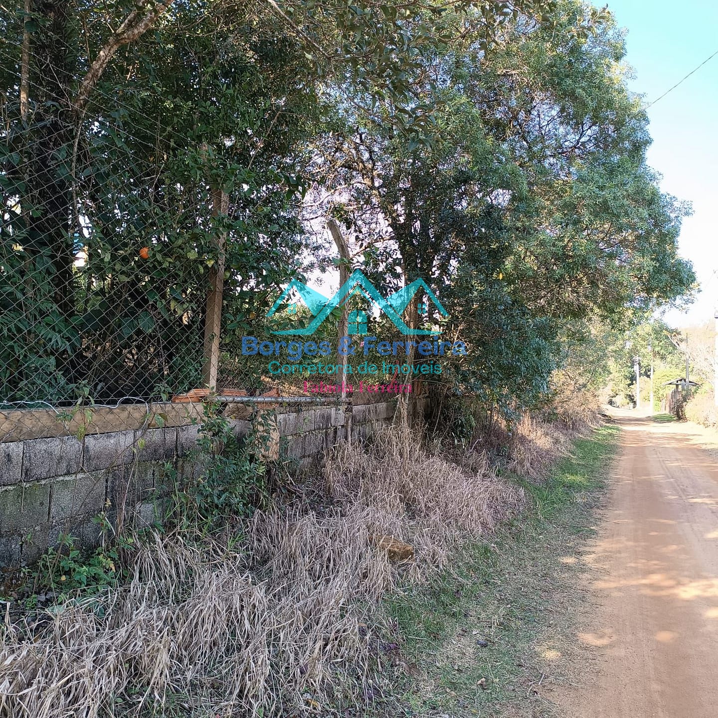 Chácara, 3 quartos, 3037 m² - Foto 2