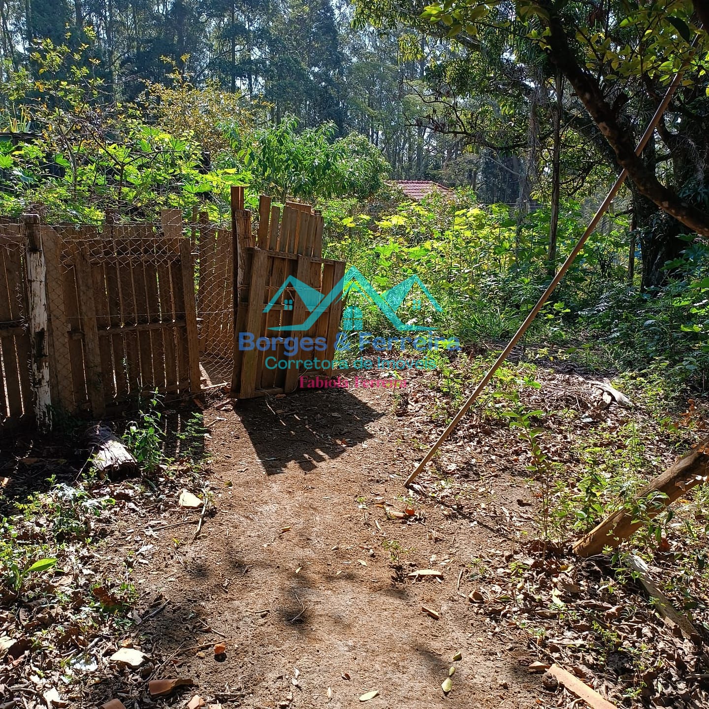 Chácara, 3 quartos, 3037 m² - Foto 41