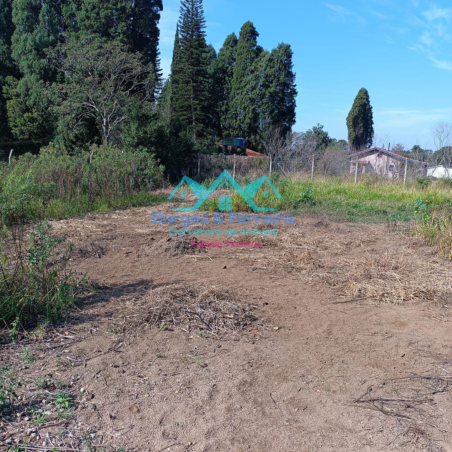 Chácara, 3 quartos, 3037 m² - Foto 40