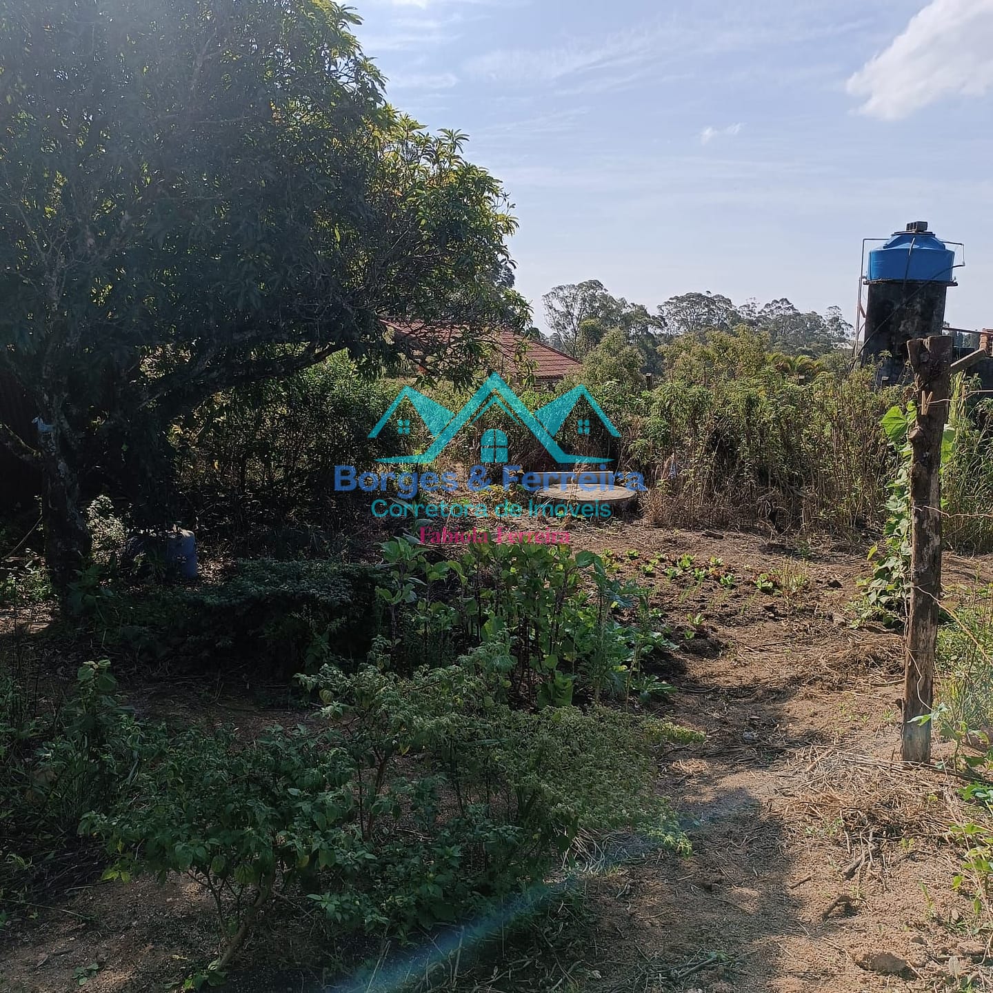 Chácara, 3 quartos, 3037 m² - Foto 39