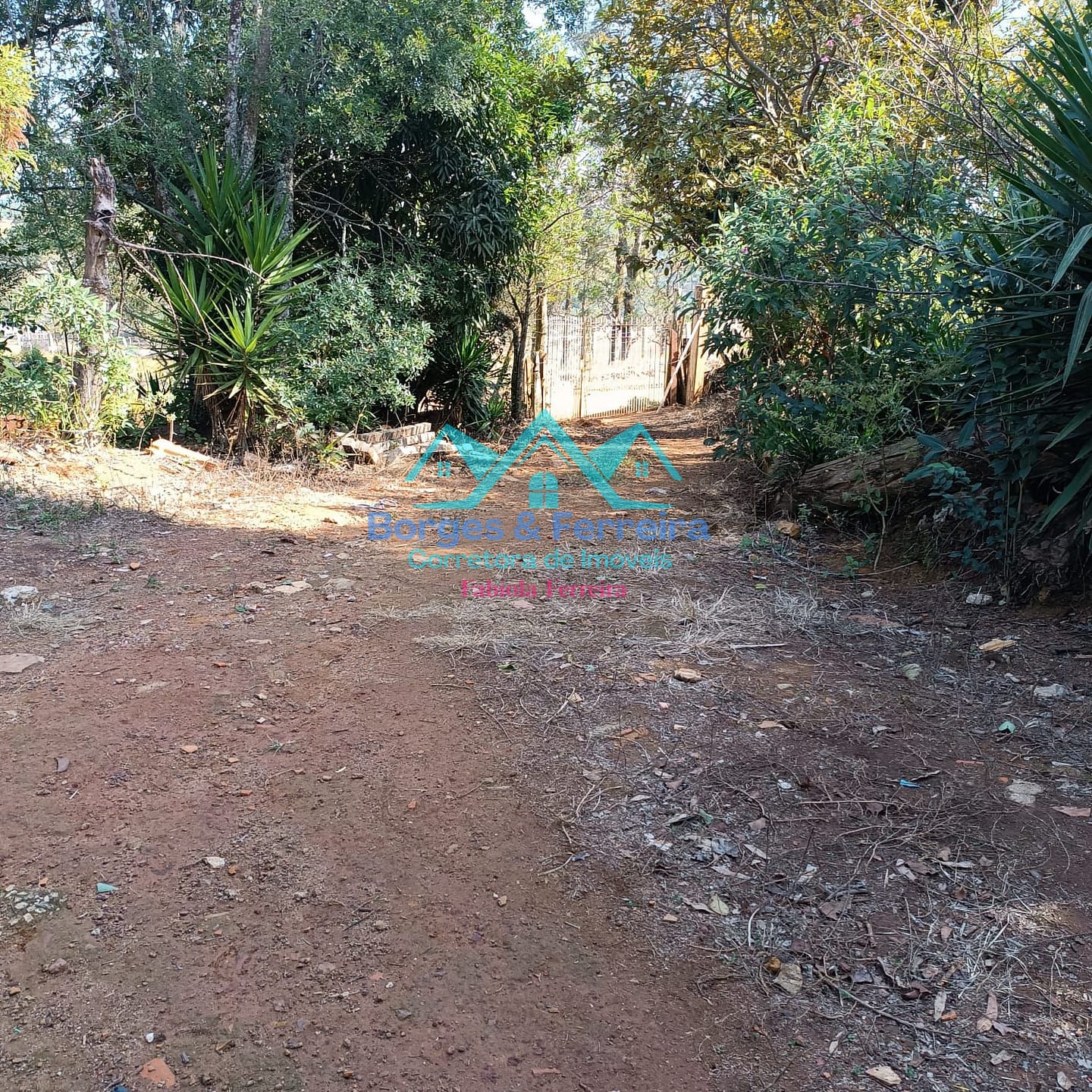 Chácara, 3 quartos, 3037 m² - Foto 38