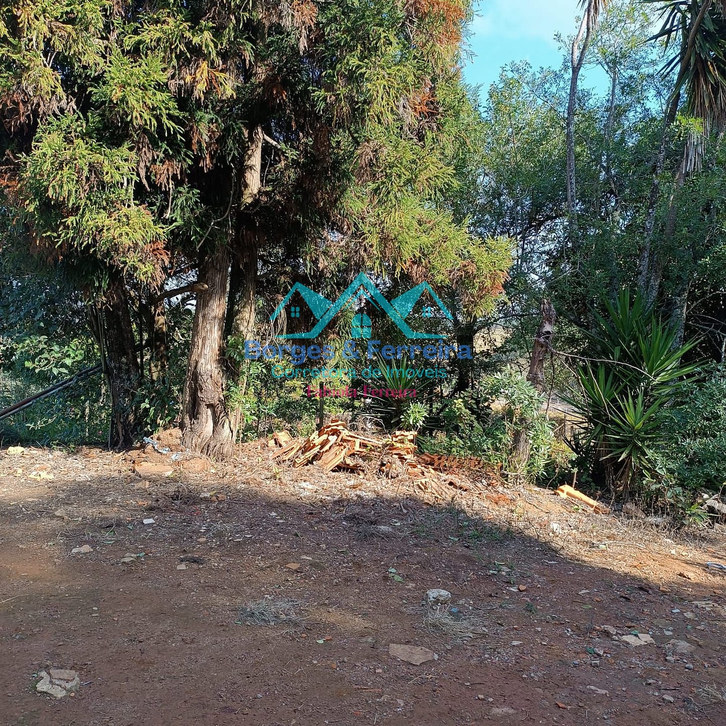 Chácara, 3 quartos, 3037 m² - Foto 37