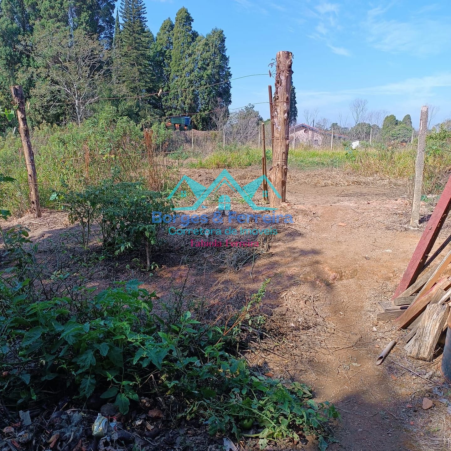 Chácara, 3 quartos, 3037 m² - Foto 33