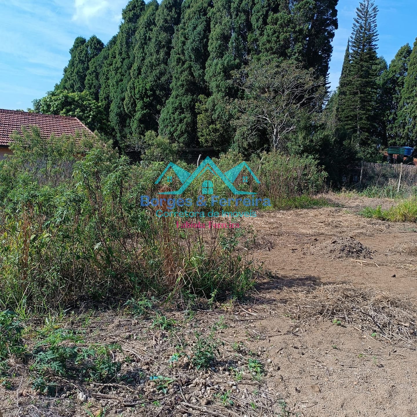 Chácara, 3 quartos, 3037 m² - Foto 34