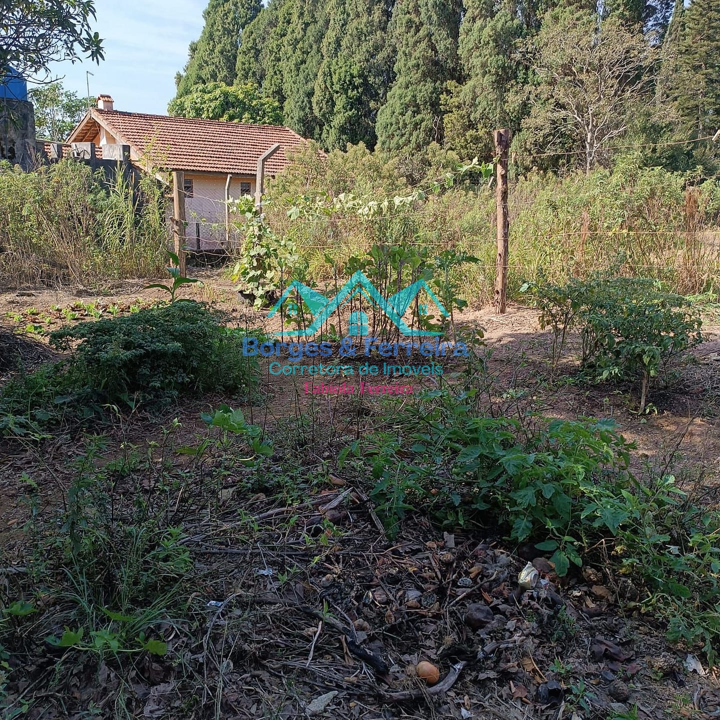 Chácara, 3 quartos, 3037 m² - Foto 32