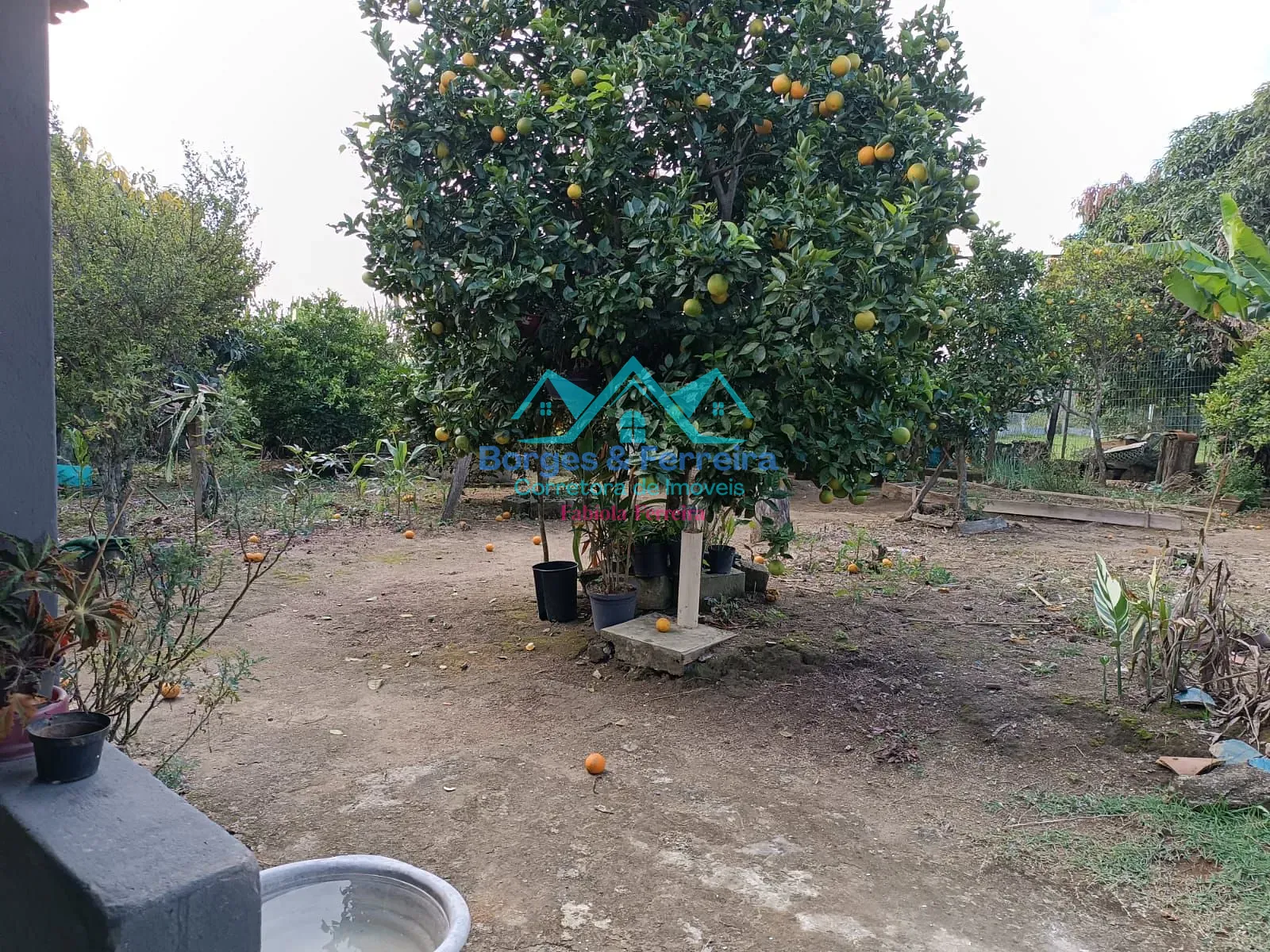 Chácara, 2 quartos, 1500 m² - Foto 38