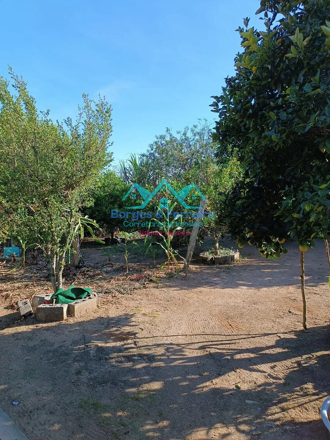 Chácara, 2 quartos, 1500 m² - Foto 39