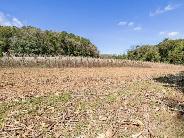 Chácara com 56643m², à venda, no bairro Ferraria em Campo Largo