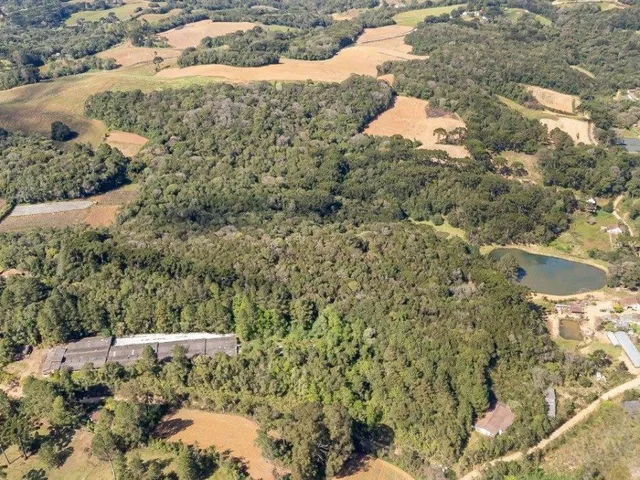 Sítio com 56643m², à venda, no bairro Ferraria em Campo Largo