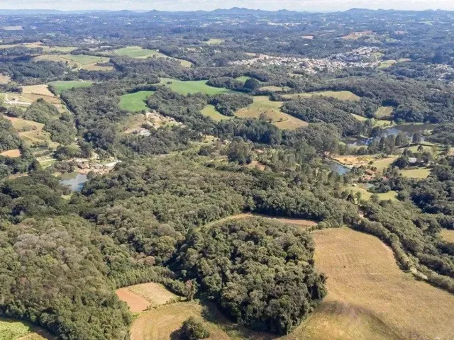 Sítio com 56643m², à venda, no bairro Ferraria em Campo Largo