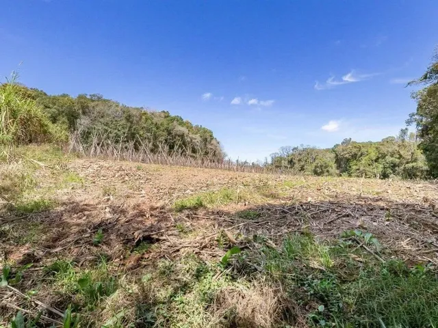 Sítio com 56643m², à venda, no bairro Ferraria em Campo Largo