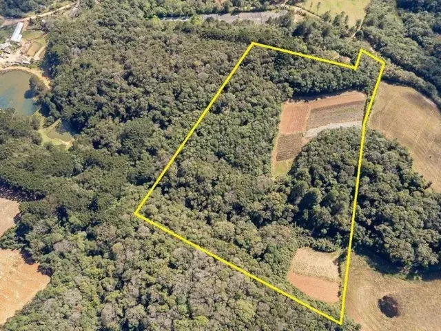 Sítio com 56643m², à venda, no bairro Ferraria em Campo Largo