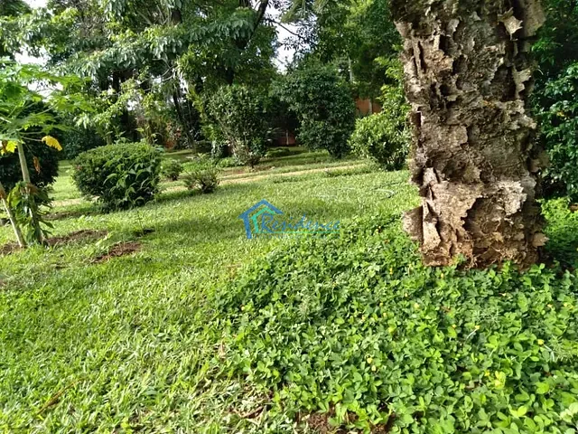 Chácara com 900m² 3 quartos e 2 banheiros, para alugar, no bairro Parque Presidente em Indaiatuba
