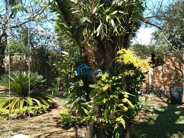 Chácara com 900m² 3 quartos e 2 banheiros, para alugar, no bairro Parque Presidente em Indaiatuba