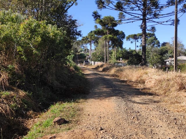 Foto do Chácara - Chácara à venda, Periquitos, Bocaina (Ponta Grossa), PR | Torre Blanca Imóveis