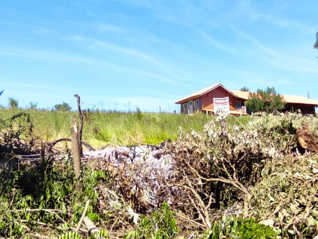 Foto do Chácara - Chácara à venda, Periquitos, Bocaina (Ponta Grossa), PR | Torre Blanca Imóveis