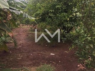 Foto do Chácara-Chácara em Bairro da Usina  -  Bragança Paulista