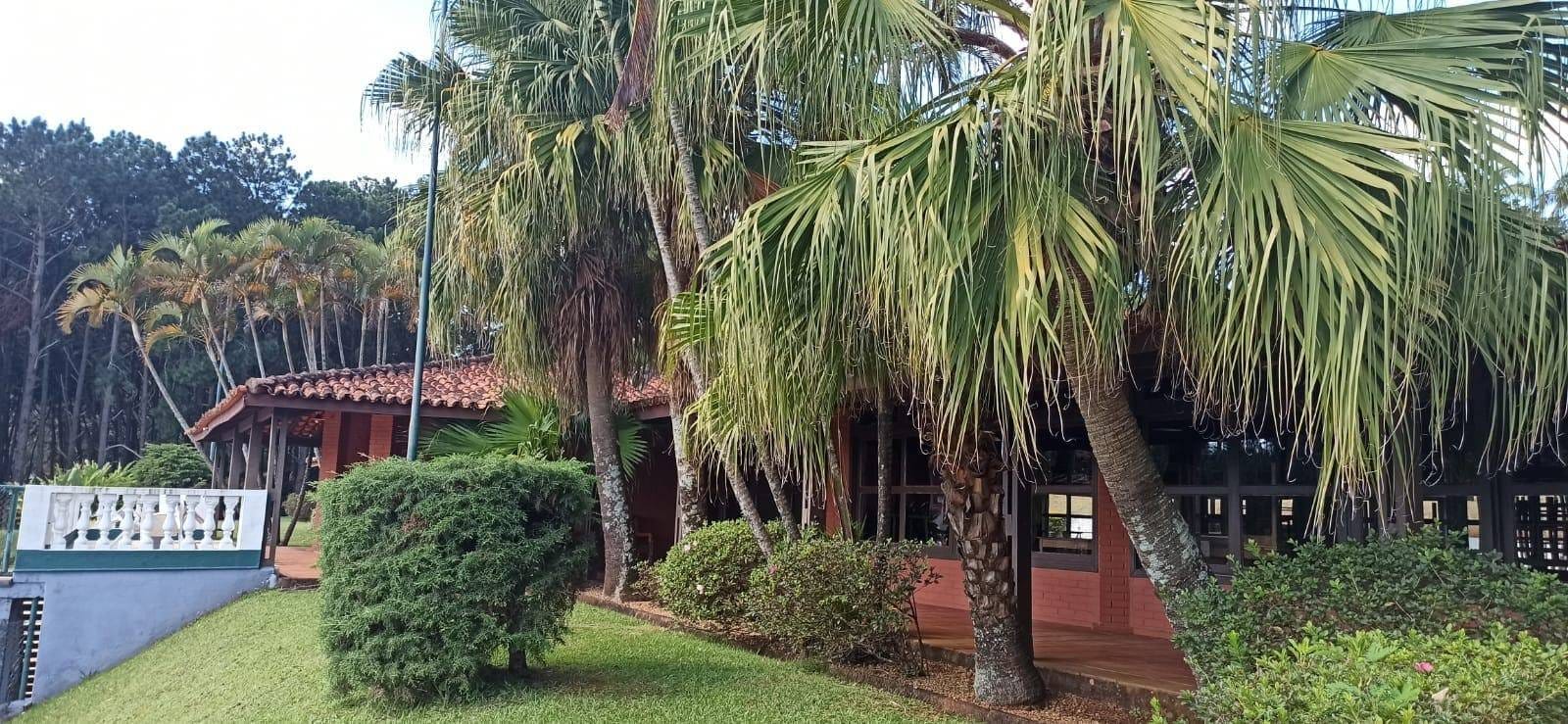Chácara à venda com 4 quartos, 3285m² - Foto 4