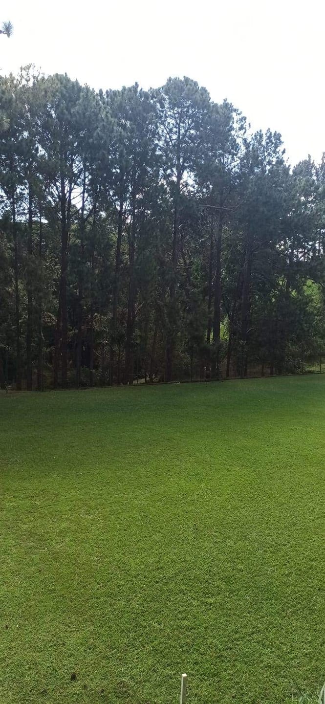Chácara à venda com 4 quartos, 3285m² - Foto 5