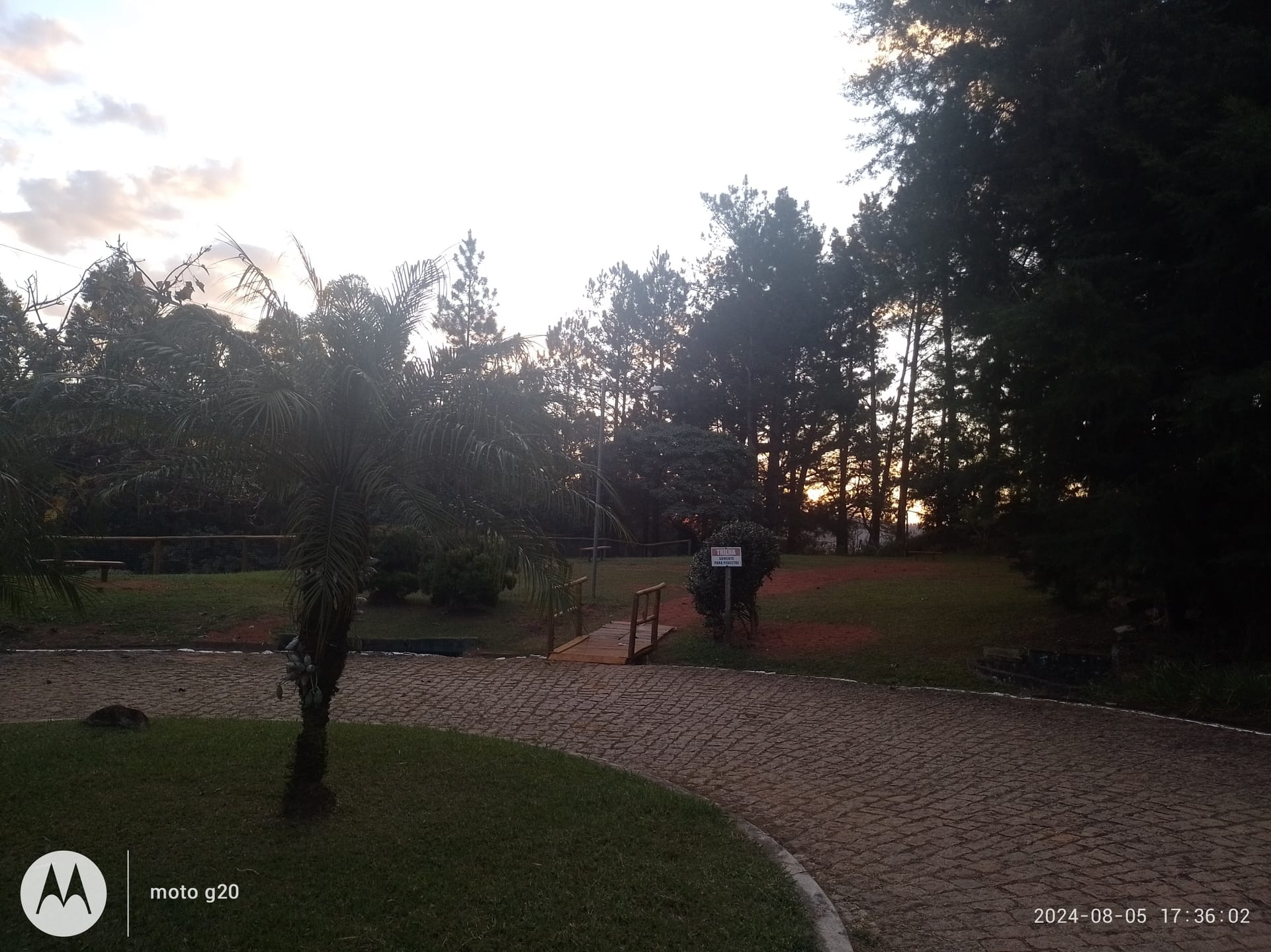 Chácara à venda com 4 quartos, 3285m² - Foto 22