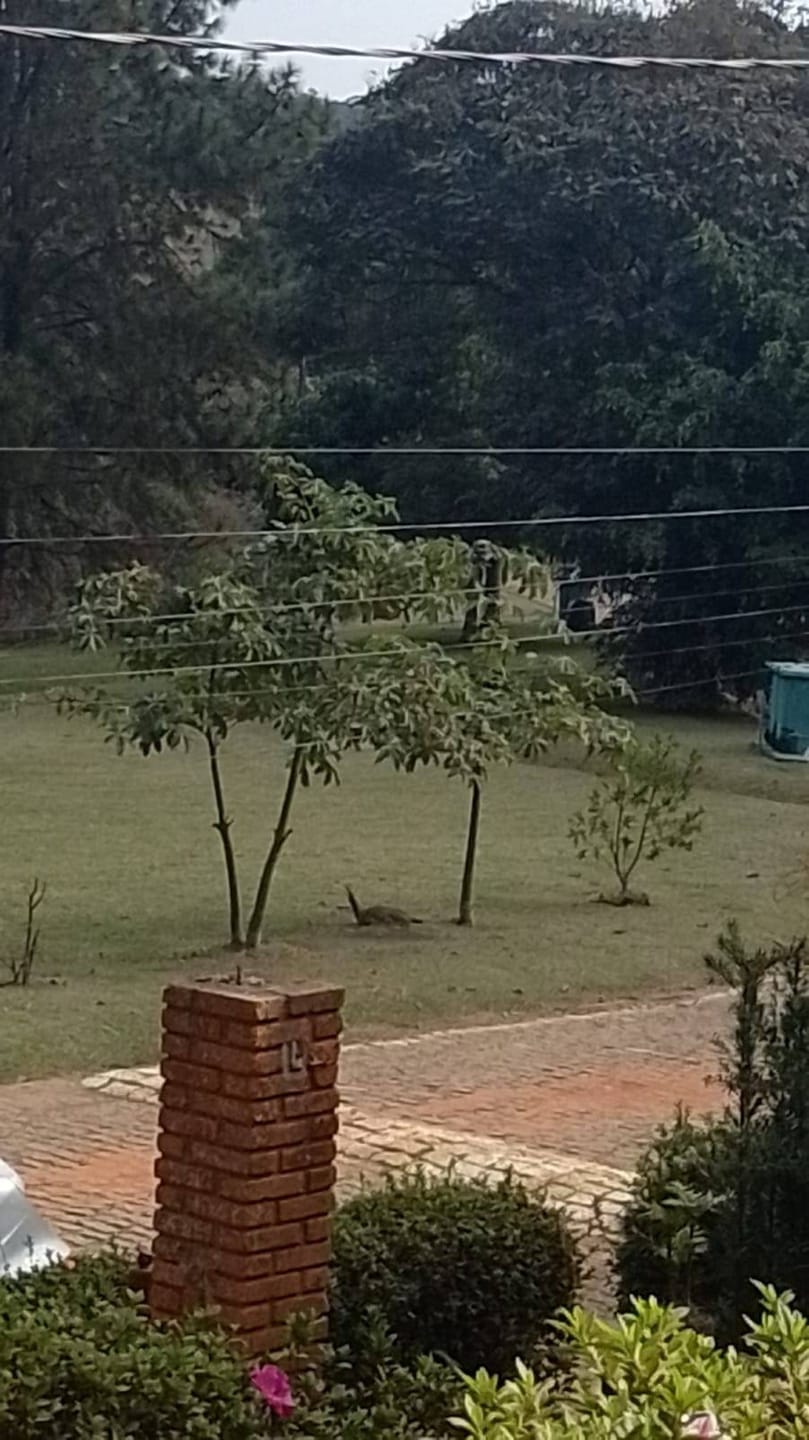 Chácara à venda com 4 quartos, 3285m² - Foto 63