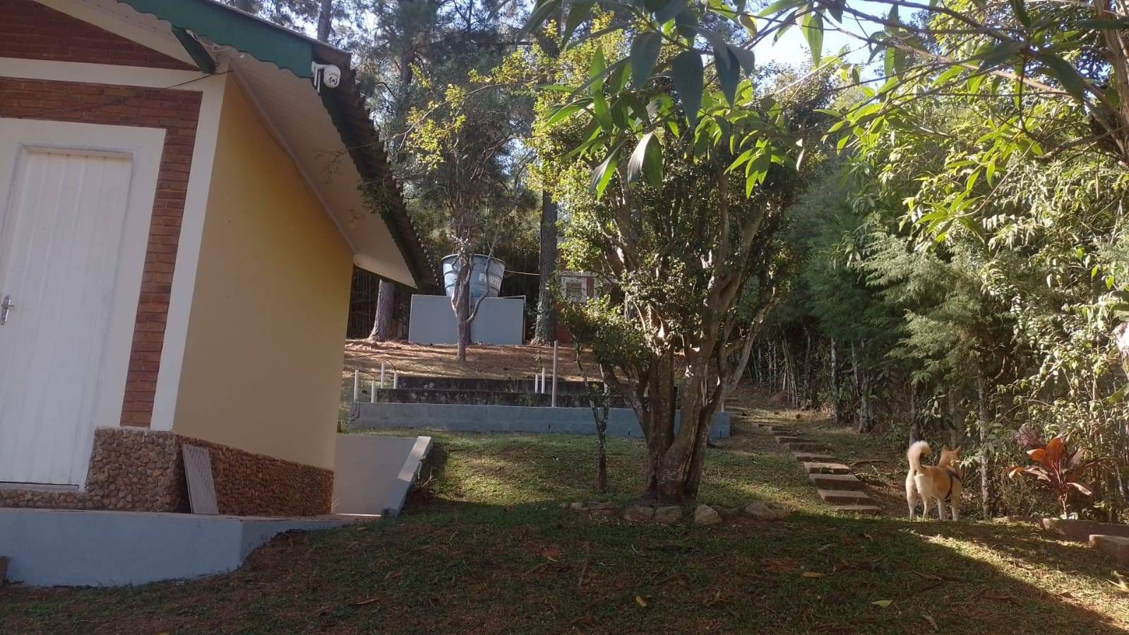 Chácara à venda com 4 quartos, 3285m² - Foto 66