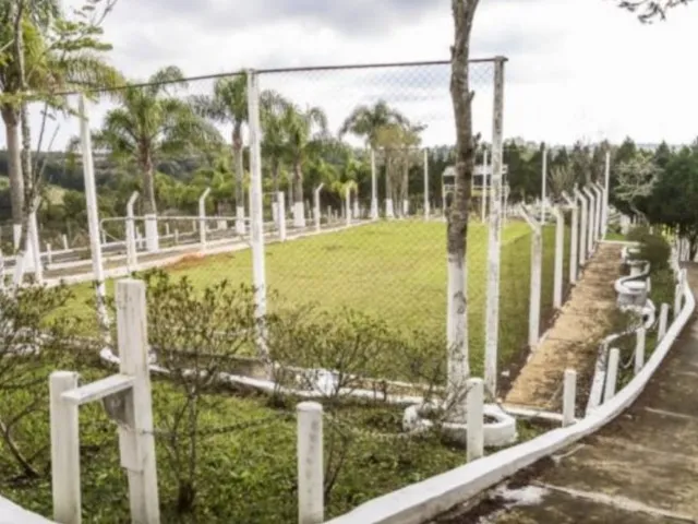 Sítio 3 quartos e 1 banheiro, à venda, no bairro Roça Velha em São José Dos Pinhais