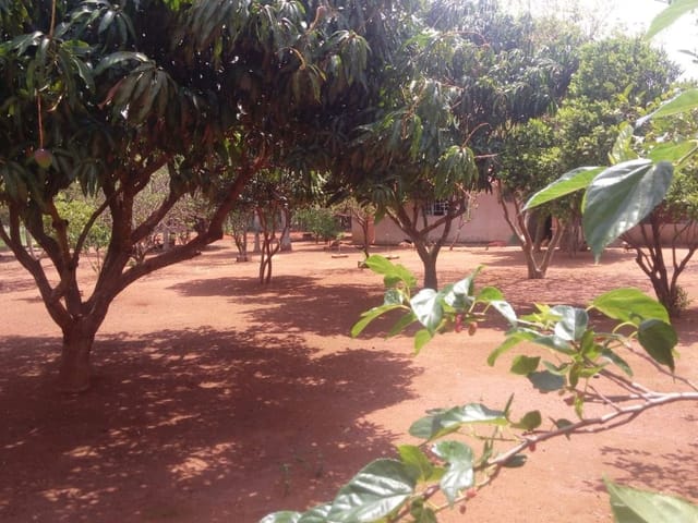 Foto do Chácara - Chácara com 3 dormitórios à venda, 5400 m² por R$ 580.000,00 - Santa Fé - Uberaba/MG | ZUCATO IMOBILIARIA LTDA
