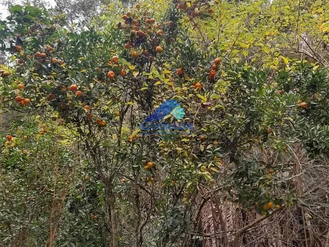 Chácara com 10000m² 1 quarto e 1 banheiro, à venda, no bairro Freitas em São José dos Campos